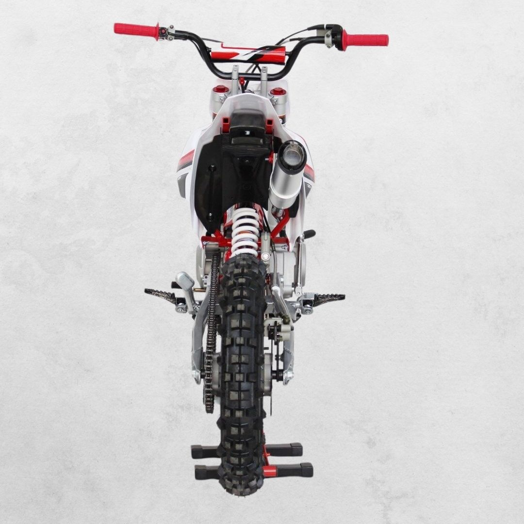 EGL A11 125CC - Image 4