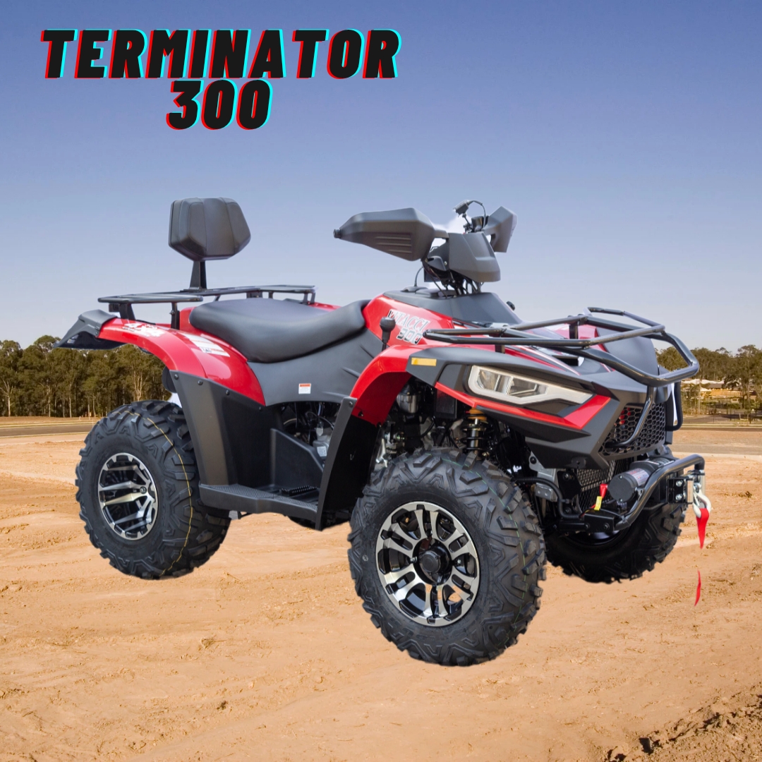 Terminator 300