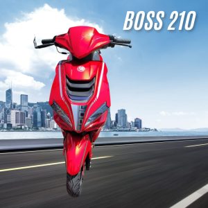 Boss 210 F9
